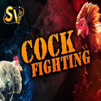 xgtiger cockfighting sv388